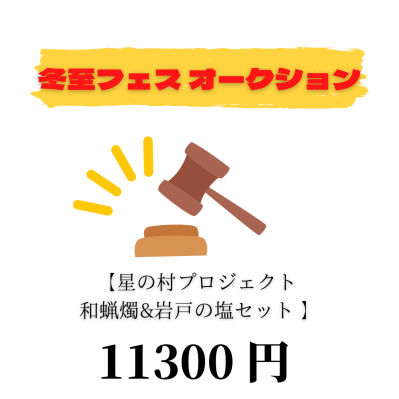 冬至フェス2021☆オークション　落札者限定 : 11300円