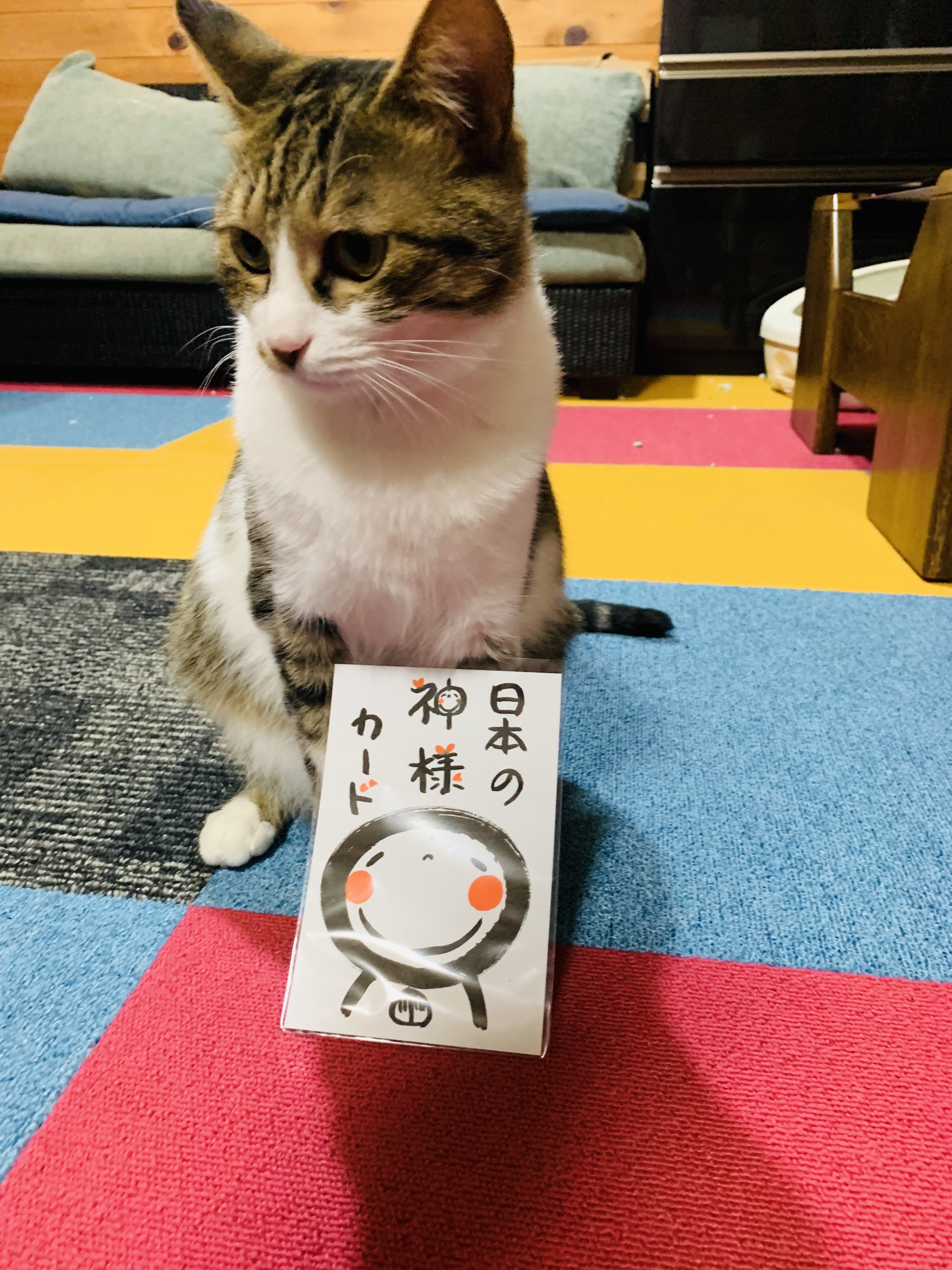 日本の神様カードセッション
